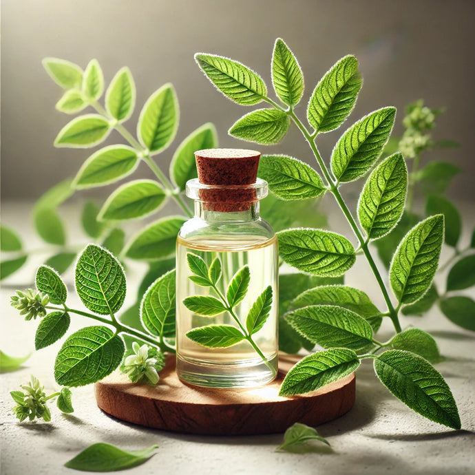 Lemon Verbena Fragrance Oil