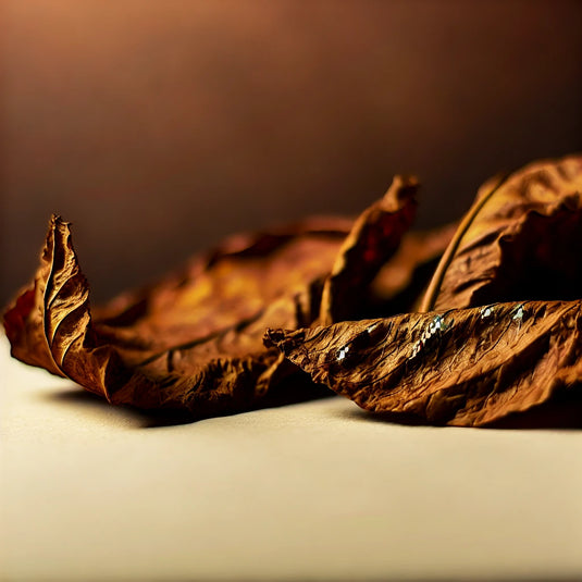 Tobacco Leaf Fragrance Oil