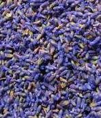 Lavender And Spice Fragrance Oil (Merlin)